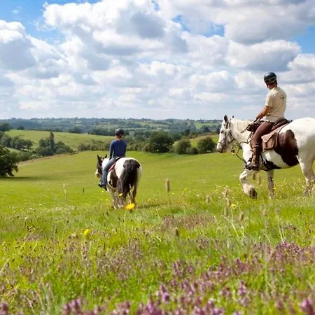 Tiny House Et Chevaux