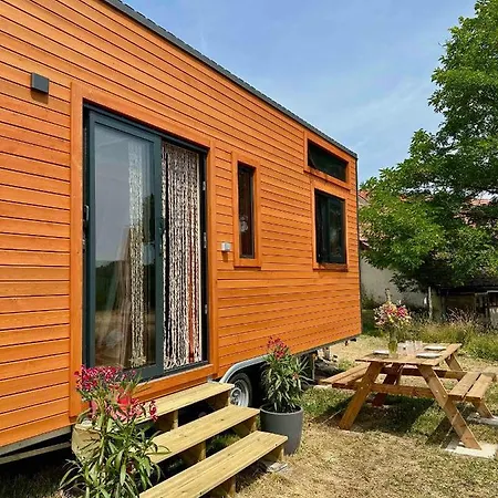 Tiny House Et Chevaux *