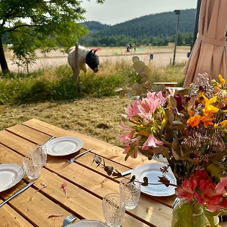 Gospodarstwo agroturystyczne Tiny House Et Chevaux Le Breuil (Allier)