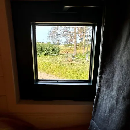 Gospodarstwo agroturystyczne Tiny House Et Chevaux Le Breuil (Allier)