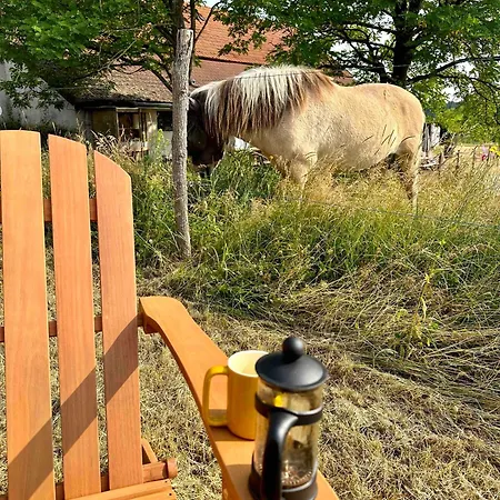 Tiny House Et Chevaux Gospodarstwo agroturystyczne *