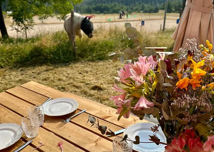 Farm stay Tiny House Et Chevaux Le Breuil (Allier)