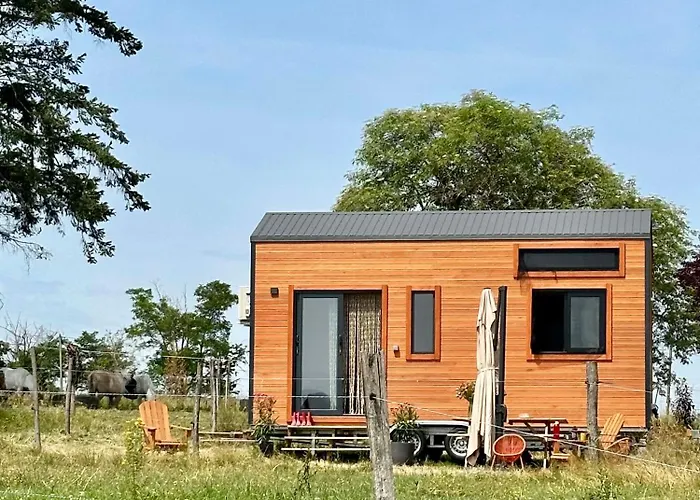 Tiny House Et Chevaux *