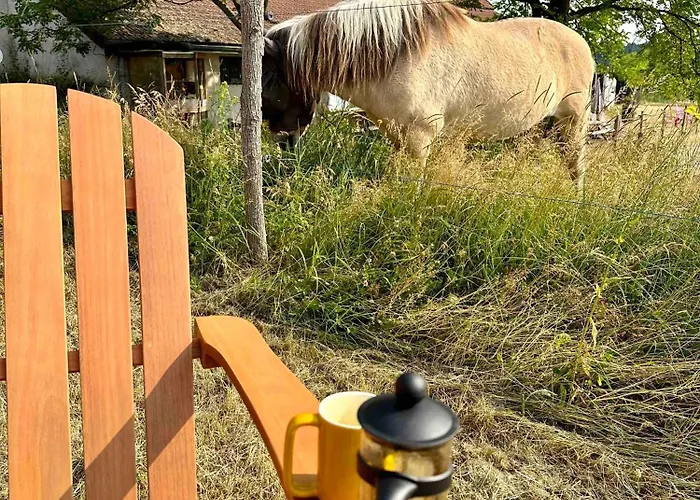 Tiny House Et Chevaux Farm stay *